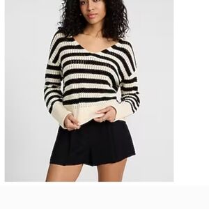 Express Sweater